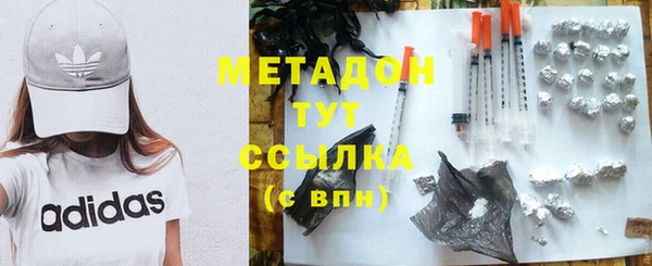 крисы Бородино
