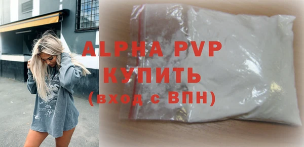 крисы Бородино