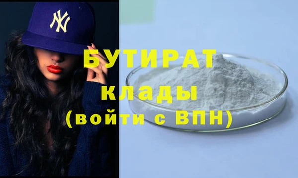 крисы Бородино