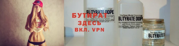 крисы Бородино