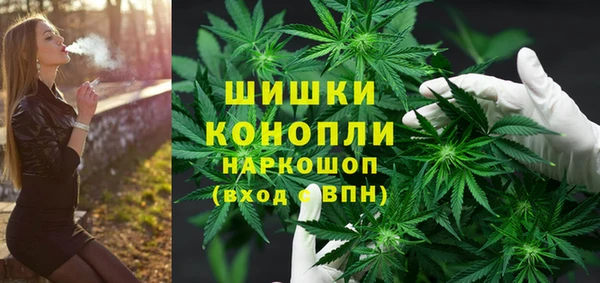 крисы Бородино