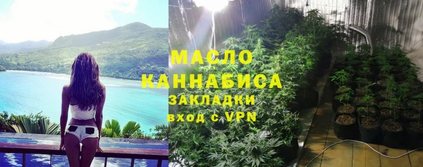 крисы Бородино