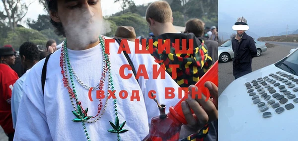 крисы Бородино