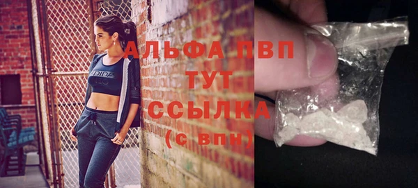 крисы Бородино