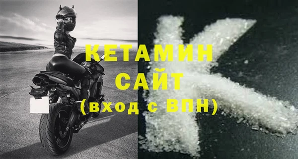 крисы Бородино