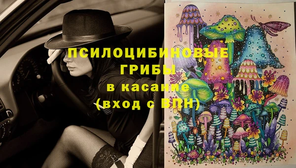 крисы Бородино