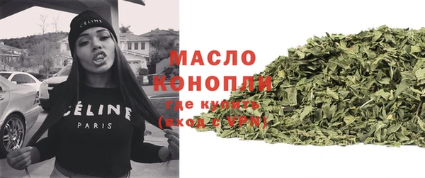 крисы Бородино