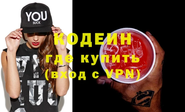 крисы Бородино